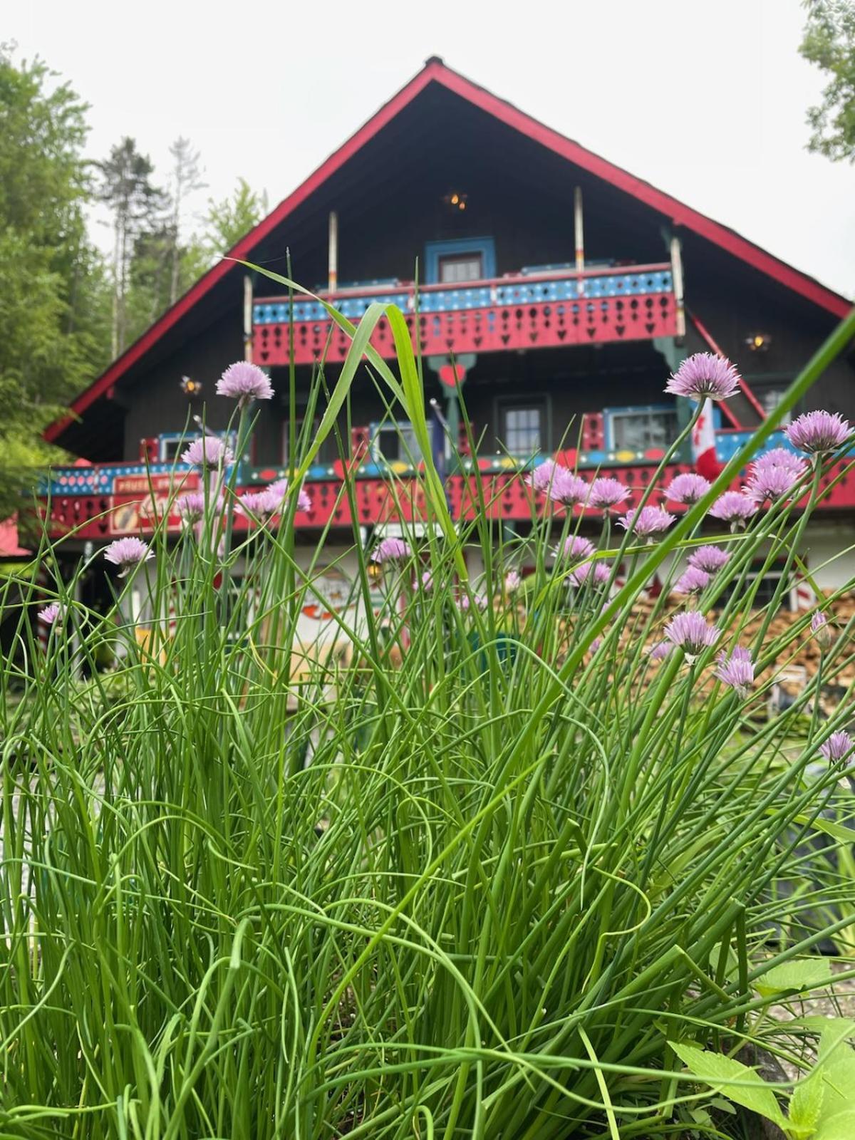 Grunberg Haus Inn & Cabins واتربوري المظهر الخارجي الصورة