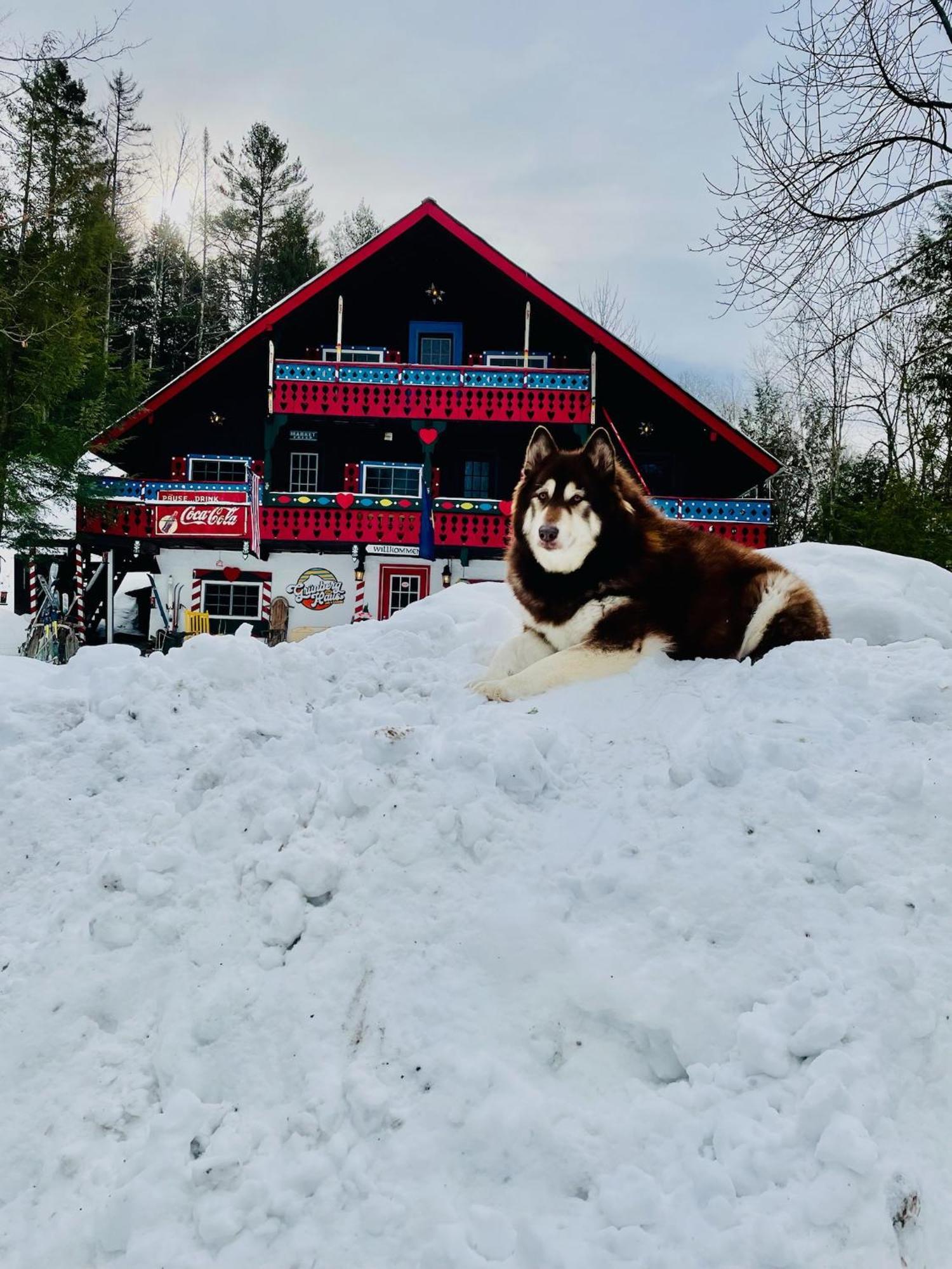 Grunberg Haus Inn & Cabins واتربوري المظهر الخارجي الصورة